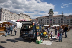 IMG_8950